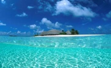 小猪变干净的教案优质5篇