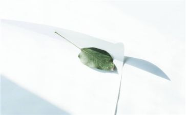 小猪变干净的教案5篇