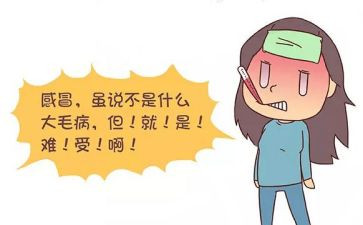 我感冒作文600字6篇