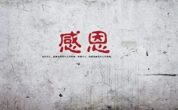 感谢我的作文模板6篇