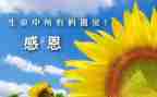 感谢_____的作文700字5篇