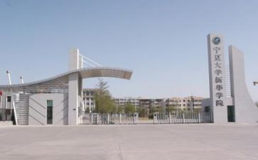 高校教师专业技术工作总结6篇