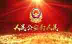 2023年公安年终总结6篇