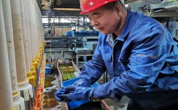 工段长述职报告6篇