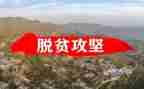 2024百日攻坚工作总结5篇