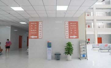 2024功能科主任述职报告6篇
