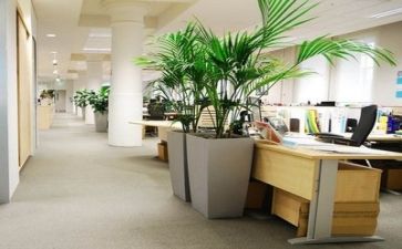 给公司的总结报告精选7篇