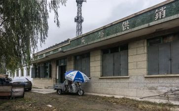 镇供销社工作计划6篇