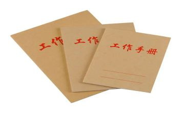 班主任工作手册班工作计划5篇