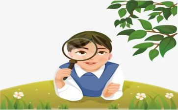 观察蚂蚁的作文优质6篇