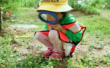 观察作文的作文模板7篇