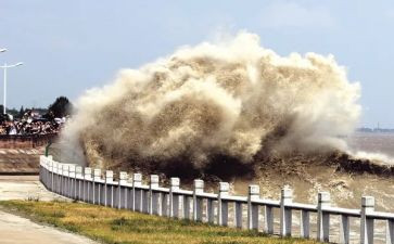 观潮读后感40字优质8篇