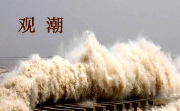 观潮教案反思优质6篇