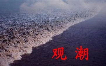 观潮四年级教案优秀7篇