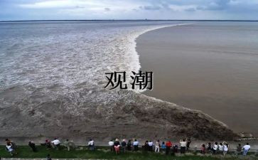 观潮的教学教案优质6篇