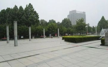蟋蟀的广场读后感通用6篇
