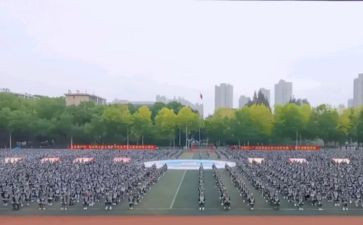 观训心得体会大学生500字6篇