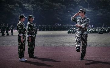 观训心得体会大学生800字模板5篇