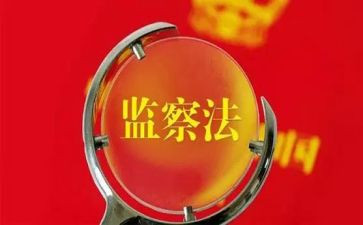 监察站工作总结5篇