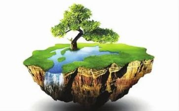 国土所年终总结6篇