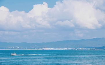 2024年上海房屋租赁合同5篇