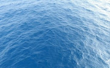 海归就业调查报告优质5篇
