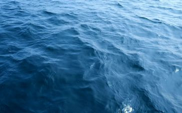 2023海归就业调查报告7篇