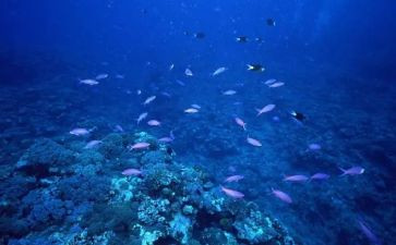 海底两万里读后感要八百字6篇