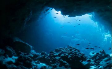 海底两万里200读后感8篇
