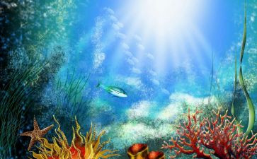 海底两万里200读后感精选7篇