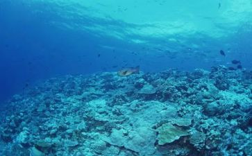 海底两万里200读后感参考7篇