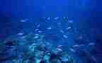 海底两万里读后感要八百字6篇