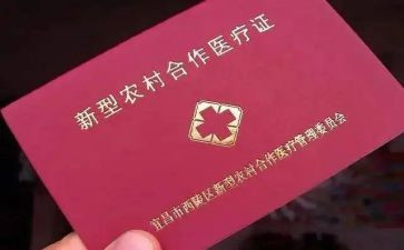 年终合疗个人总结模板6篇