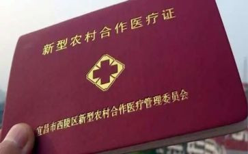 医保合疗工作计划6篇