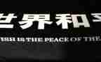 战争与和平读书心得体会8篇