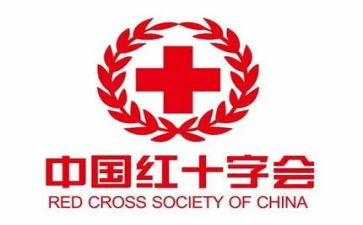 红十的总结报告精选6篇