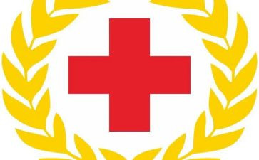 红十的总结报告优质8篇