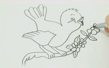 一年级上册《画》教案6篇