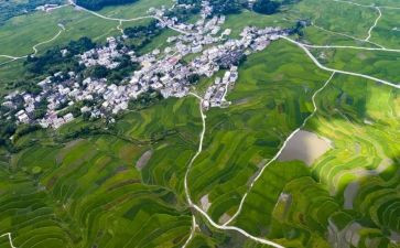 调查环境的调查报告优质8篇
