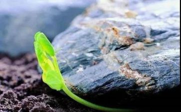 唤醒护理心得体会5篇