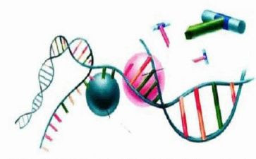 初中理化生组教研计划5篇