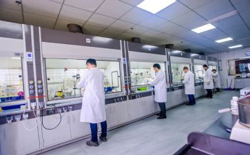 化验室的工作总结8篇