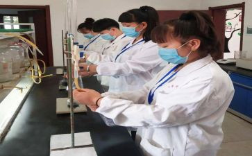 化验工作年终总结7篇