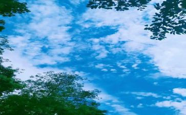 我的回忆,作文推荐5篇