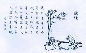 保护生态调查报告7篇