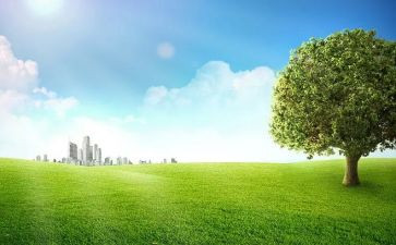 中班户外爬的游戏教案7篇