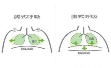 呼吸内科自我鉴定参考5篇