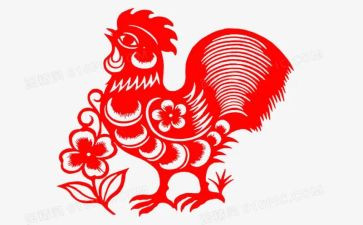 关于鸡的调查报告推荐5篇