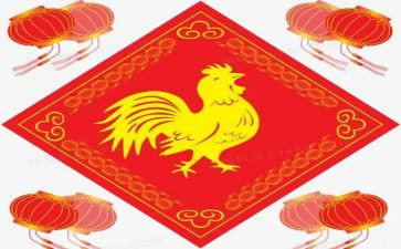 母鸡下蛋的教案6篇
