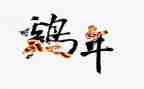 鸡的故事读后感最新7篇